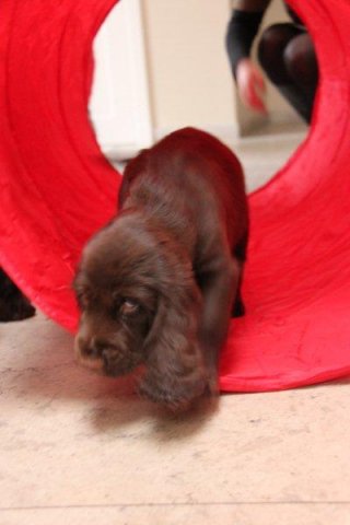 een tunnel